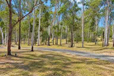 Lifestyle For Sale - NSW - Tabulam - 2469 - POLISHED GEM  (Image 2)