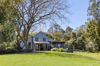 House For Sale - QLD - Black Mountain - 4563 - Character Home with Sweeping Views (Image 2)