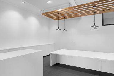 Office(s) For Lease - QLD - Toowoomba City - 4350 - Stylish 53m2 Office in Toowoomba CBD  (Image 2)