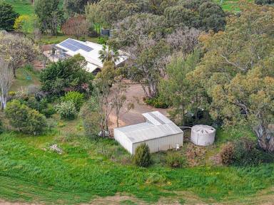 House For Sale - NSW - Young - 2594 - Where it All Starts  (Image 2)