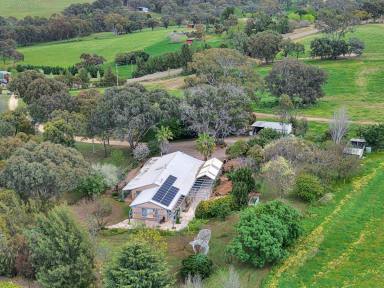 House For Sale - NSW - Young - 2594 - Where it All Starts  (Image 2)