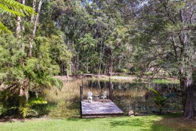 House For Sale - QLD - Verrierdale - 4562 - A Private Verrierdale Retreat  (Image 2)