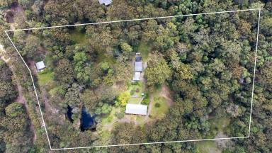 House For Sale - QLD - Verrierdale - 4562 - A Private Verrierdale Retreat  (Image 2)