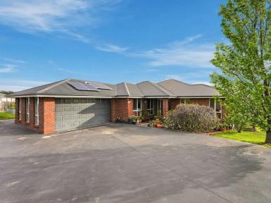 House For Sale - TAS - Old Beach - 7017 - Space, Views and a Flexible Family Floorplan (Image 2)