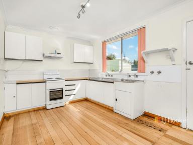 House For Lease - TAS - West Ulverstone - 7315 - Big Backyard, Easy Living  (Image 2)