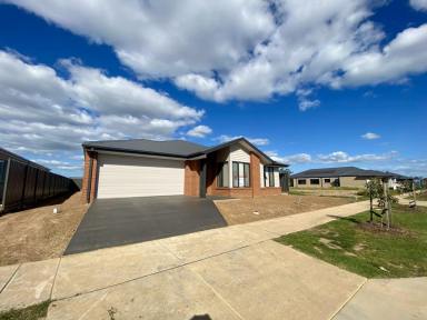 House For Lease - VIC - Echuca - 3564 - Contemporary and Convenient  (Image 2)