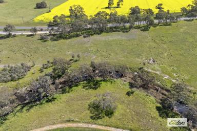 Other (Rural) For Sale - VIC - Maroona - 3377 - Weekender or agistment block (Image 2)