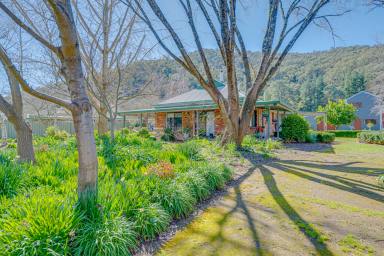 House For Sale - VIC - Ovens - 3738 - Established Country Living with Space, Gardens & Shedding (Image 2)
