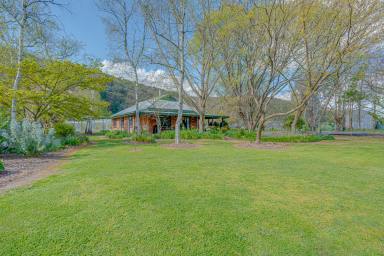 House For Sale - VIC - Ovens - 3738 - Established Country Living with Space, Gardens & Shedding (Image 2)