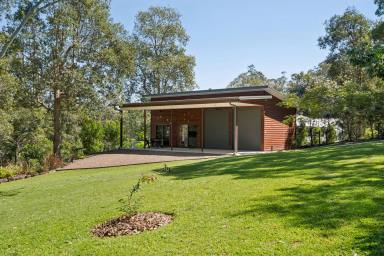 House For Sale - QLD - Eumundi - 4562 - A Private Tropical Sanctuary Minutes from Eumundi Village  (Image 2)