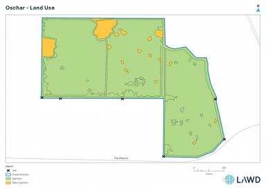 Mixed Farming For Sale - SA - Short - 5279 - OSCHAR | CLAY WELLS ROAD, SHORT, SA (Image 2)
