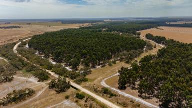 Mixed Farming For Sale - SA - Coles - 5272 - FUARAN NORTH | DIAGONAL ROAD, COLES, SA  (Image 2)
