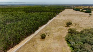 Mixed Farming For Sale - SA - Wattle Range - 5280 - CROSER | WATTLE RANGE ROAD, WATTLE RANGE, SA  (Image 2)