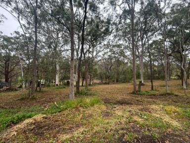 Residential Block For Sale - QLD - Macleay Island - 4184 - A Rare 4,047m² Corner Block in a Peaceful Location  (Image 2)