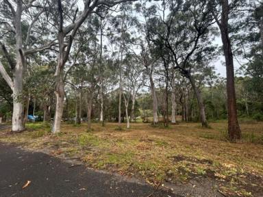 Residential Block For Sale - QLD - Macleay Island - 4184 - A Rare 4,047m² Corner Block in a Peaceful Location  (Image 2)