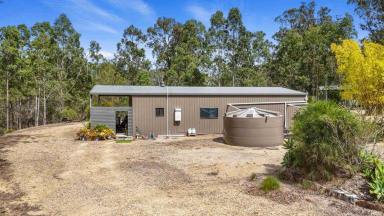 Residential Block For Sale - QLD - Glenwood - 4570 - SHED WITH AMENITIES ON LARGE BLOCK  (Image 2)