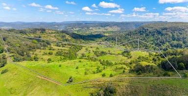 Mixed Farming For Sale - NSW - Coffee Camp - 2480 - 152 Acres | Character Home | Creek | Equine & Cattle Facilities  (Image 2)