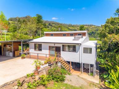 Mixed Farming For Sale - NSW - Coffee Camp - 2480 - 152 Acres | Character Home | Creek | Equine & Cattle Facilities  (Image 2)
