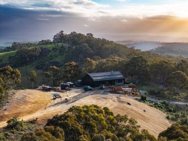Other (Residential) Auction - NSW - Nanima - 2582 - Your Hassle-Free Country Sanctuary  (Image 2)