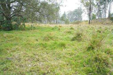 Livestock For Sale - NSW - Bonalbo - 2469 - Premium Rural Holding with Scale, Water and Potential  (Image 2)