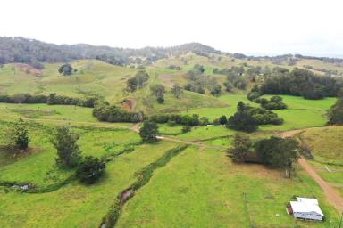 Livestock For Sale - NSW - Kyogle - 2474 - "WYNDHAM PARK" 1067 ACRES HELD IN 10 FREEHOLD TITLES  (Image 2)