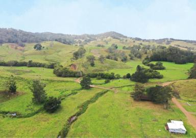 Livestock For Sale - NSW - Kyogle - 2474 - "WYNDHAM PARK" 1067 ACRES HELD IN 10 FREEHOLD TITLES  (Image 2)