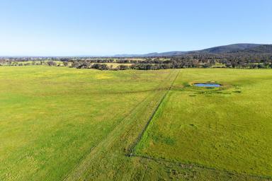 Mixed Farming For Sale - NSW - Cowra - 2794 - Muti Purpose Rural Holding with Development Potential  (Image 2)