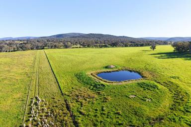 Mixed Farming For Sale - NSW - Cowra - 2794 - Muti Purpose Rural Holding with Development Potential  (Image 2)