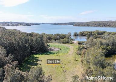 Residential Block For Sale - NSW - Pyree - 2540 - Large Waterfront Coastal Acreage  (Image 2)