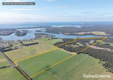 Residential Block For Sale - NSW - Pyree - 2540 - Large Waterfront Coastal Acreage  (Image 2)