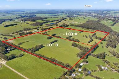 Livestock For Sale - VIC - Timboon - 3268 - TOP CLASS SCENIC SOUTH WEST VICTORIA ACREAGES  (Image 2)