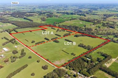Livestock For Sale - VIC - Timboon - 3268 - TOP CLASS SCENIC SOUTH WEST VICTORIA ACREAGES  (Image 2)