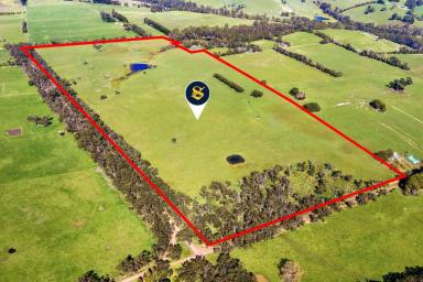 Livestock For Sale - VIC - Timboon - 3268 - QUALITY PICTURESQUE SOUTH WEST VICTORIA COUNTRY  (Image 2)
