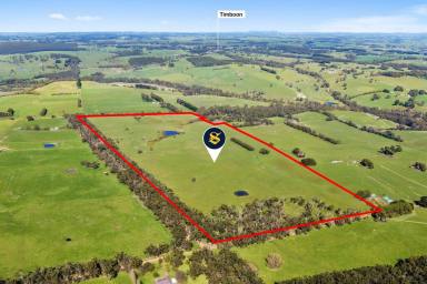 Livestock For Sale - VIC - Timboon - 3268 - QUALITY PICTURESQUE SOUTH WEST VICTORIA COUNTRY  (Image 2)