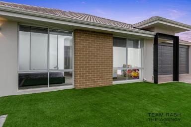 House For Sale - WA - Bennett Springs - 6063 - Stylish Family Living in Premium Iluma Estate, Bennett Springs  (Image 2)