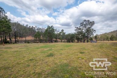 Lifestyle For Sale - NSW - Drake - 2469 - Creek Frontage, Mountain Country & Plenty to Explore  (Image 2)