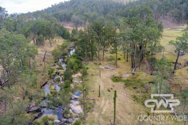 Lifestyle For Sale - NSW - Drake - 2469 - Creek Frontage, Mountain Country & Plenty to Explore  (Image 2)