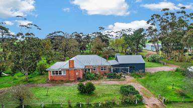 Livestock For Sale - VIC - Mortlake - 3272 - Notable Cattle Country – Longstanding Family Ownership  (Image 2)