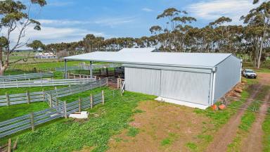 Livestock For Sale - VIC - Mortlake - 3272 - Notable Cattle Country – Longstanding Family Ownership  (Image 2)
