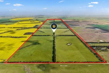 Cropping For Sale - VIC - Winchelsea - 3241 - PRODUCTIVE VERSATILE WINCHELSEA CROPPING / GRAZING COUNTRY  (Image 2)