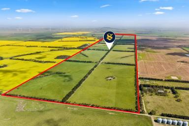 Cropping For Sale - VIC - Winchelsea - 3241 - PRODUCTIVE VERSATILE WINCHELSEA CROPPING / GRAZING COUNTRY  (Image 2)