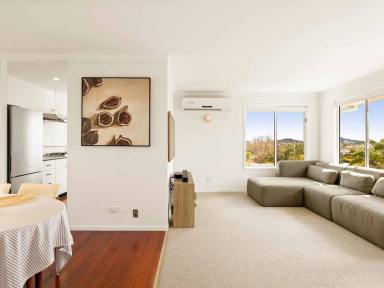 House For Sale - QLD - Darling Heights - 4350 - Quiet Cul‑de‑Sac and Elevated Living  (Image 2)