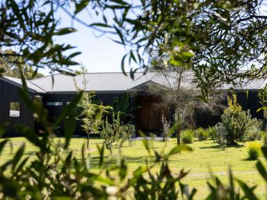 House For Sale - TAS - Gawler - 7315 - Where Architecture Meets the River (Image 2)
