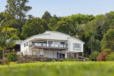 House For Sale - QLD - Pinbarren - 4568 - Noosa Hinterland - Private 10 Acres with Panoramic Views  (Image 2)