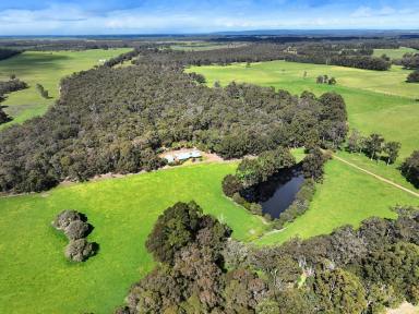 Livestock For Sale - WA - Nillup - 6288 - A RURAL PROPERTY WITH SOUL  (Image 2)