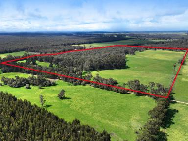Livestock For Sale - WA - Nillup - 6288 - A RURAL PROPERTY WITH SOUL  (Image 2)