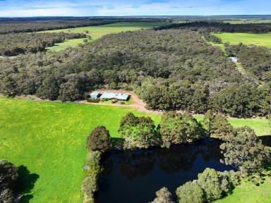 Livestock For Sale - WA - Nillup - 6288 - A RURAL PROPERTY WITH SOUL  (Image 2)