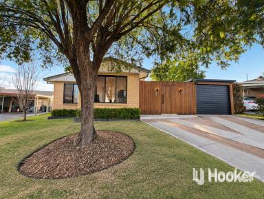 House For Sale - NSW - Inverell - 2360 - Stylish Living with an Entertainer's Backyard  (Image 2)