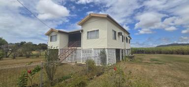 House For Sale - QLD - Macknade - 4850 - RURAL HOME ON 2,023 SQ.M. BLOCK!  (Image 2)