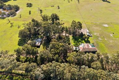 House For Sale - WA - Oakford - 6121 - Space. Freedom. Possibility. (Image 2)